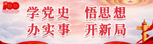 學黨史 悟思想 辦實事 開新局